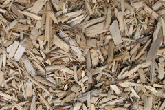 biomass boilers Wood Hayes